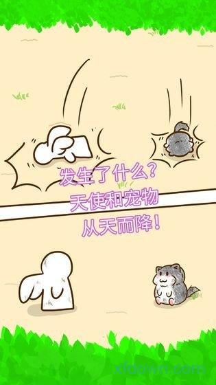 喵喵集团游戏