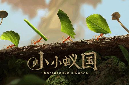 小小蚁国九游客户端1.88.0 最新版本