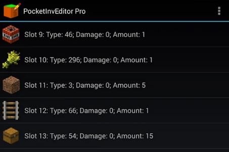 PocketInvEditor Pro修改器1.17.6.6 安卓版1.17.6.6 安卓版