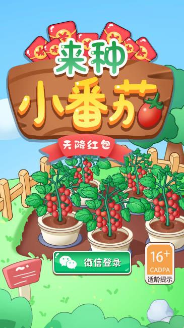 来种小番茄天降红包版 v1.0 安卓版