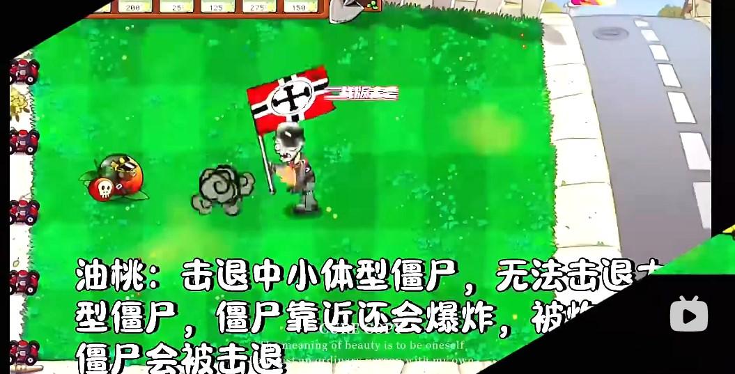植物大战僵尸二战版下载正版安卓手机 v1.0 安卓版