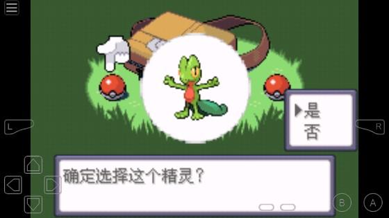 口袋妖怪最强进化3.0mega版 v3.0 移植版
