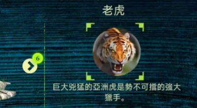 虎王模拟器游戏汉化手机版 v2.2.0 安卓版