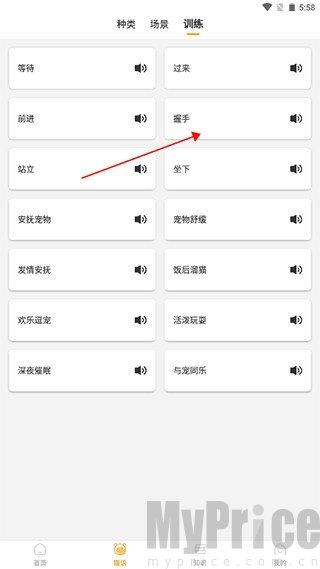 猫咪翻译器