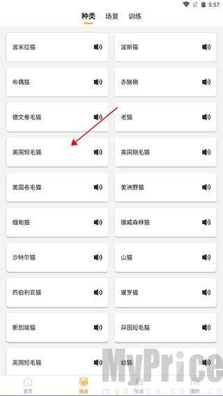 猫咪翻译器