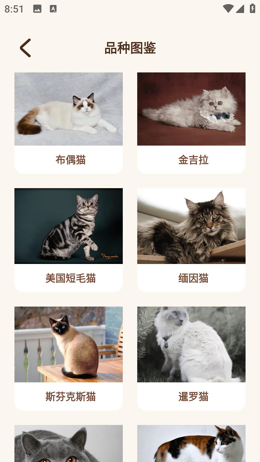 peppycat猫语翻译器
