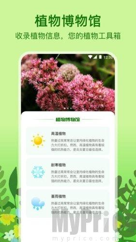 植物天气