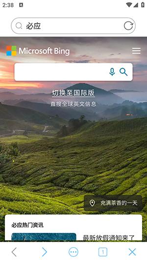 爱搜浏览器