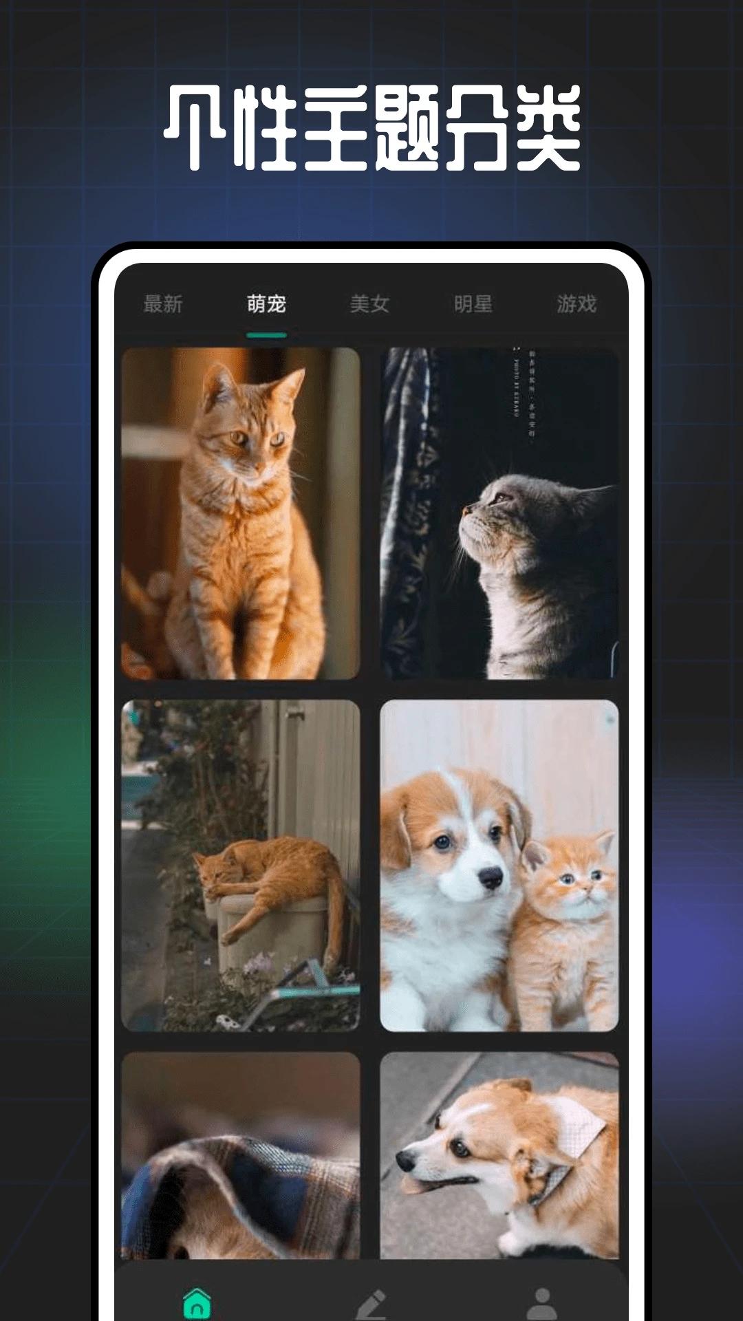 遥望壁纸软件最新版