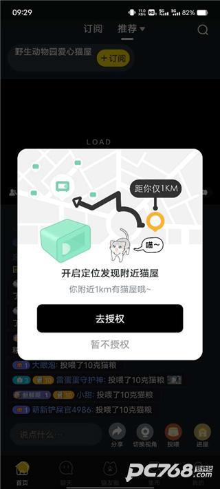 哈罗街猫