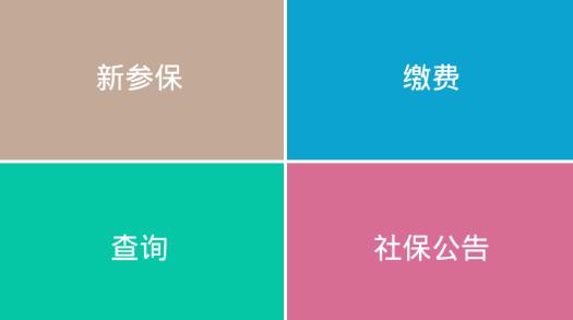 智慧泸州社保查询
