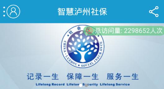 智慧泸州社保查询