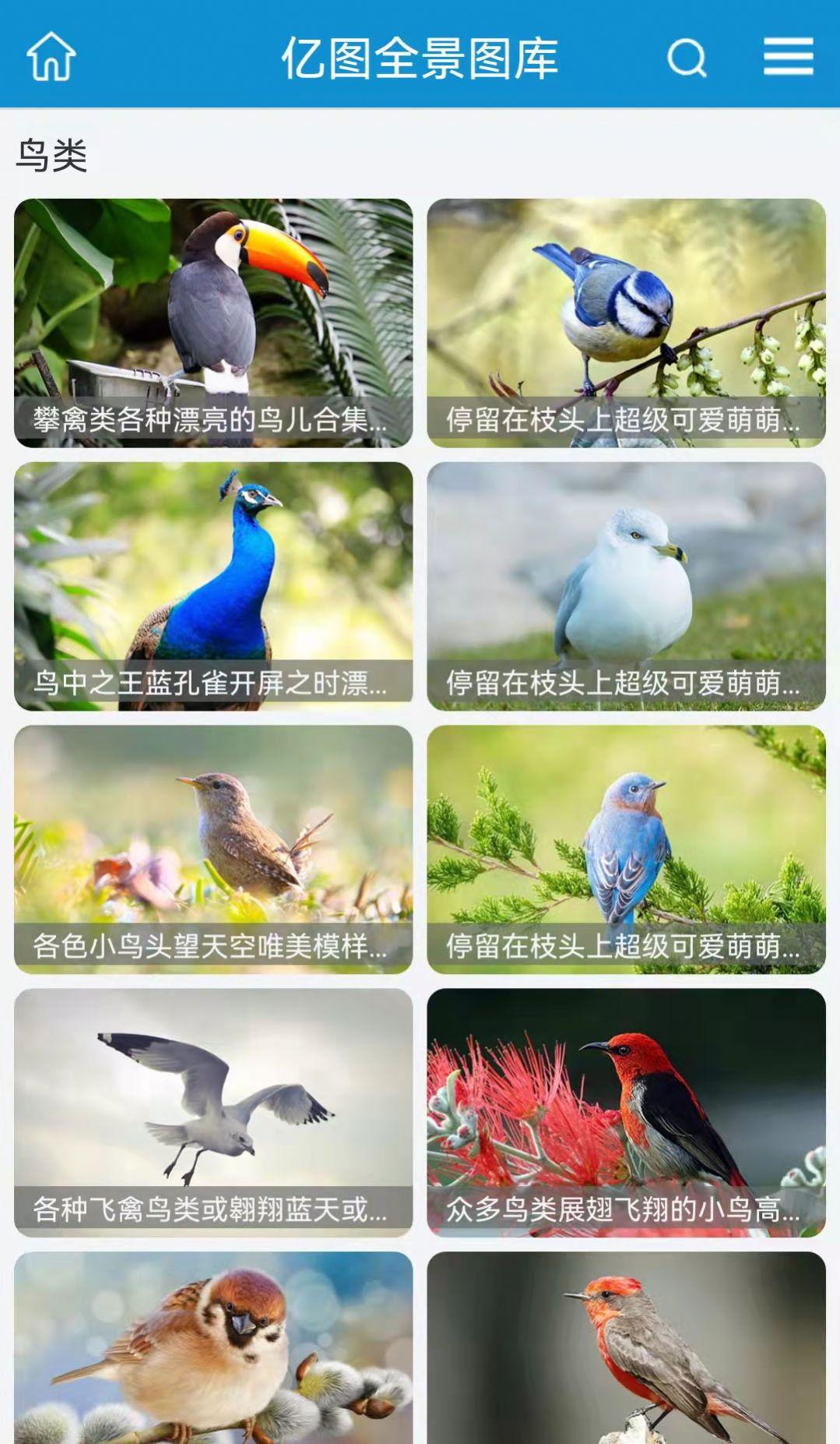 亿图手机版免费版下载手机版免费版下载