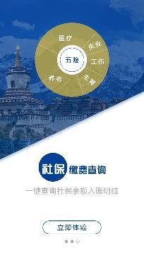 拉萨掌上社保查询平台