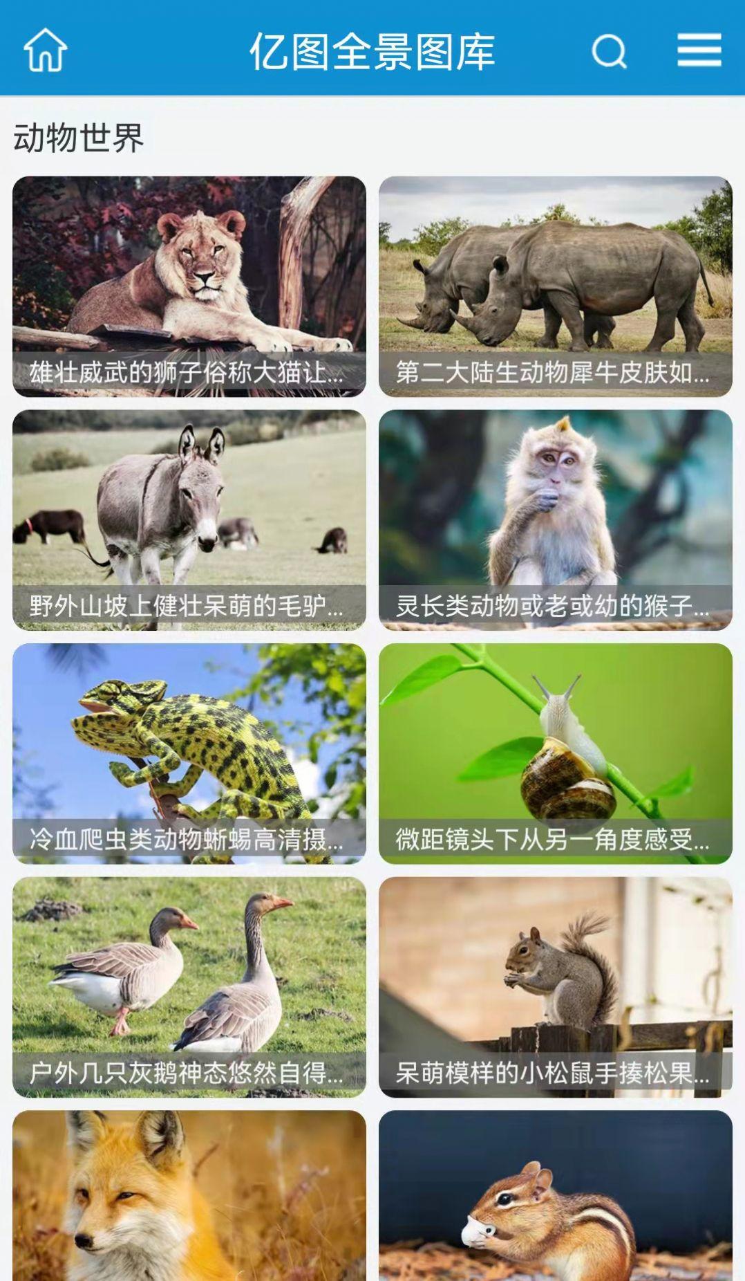 亿图手机版免费版下载手机版免费版下载
