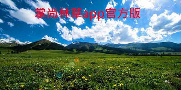 掌尚林草app