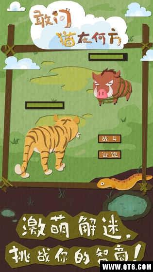 敢问猫在何方 1.0官方版截图0
