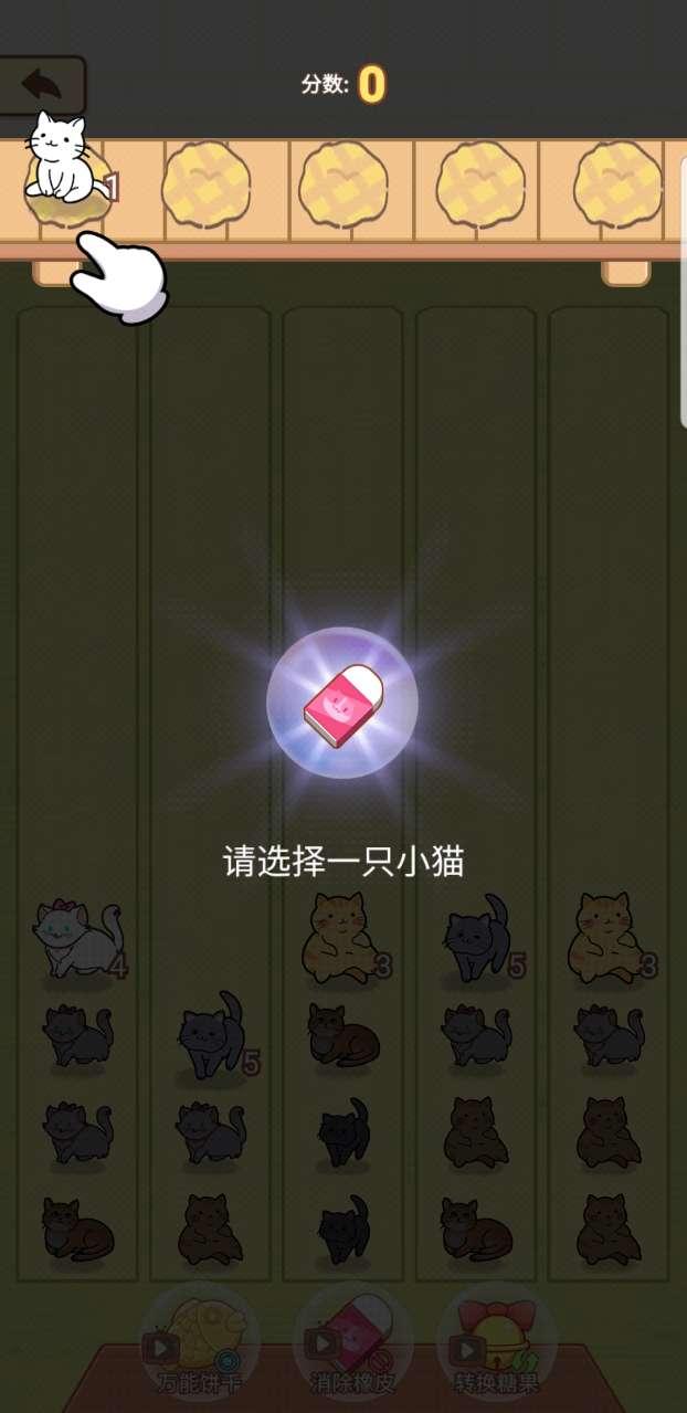 解压猫咪破解版 1.0.0安卓版截图1