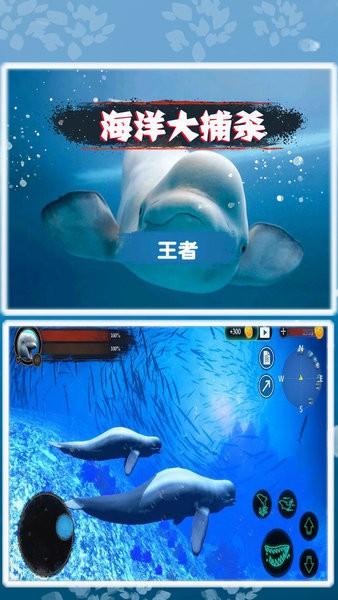海洋大捕杀游戏