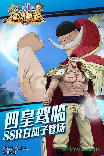 海贼王燃烧意志九游服下载
