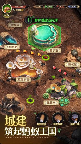 小小蚁国台服游戏