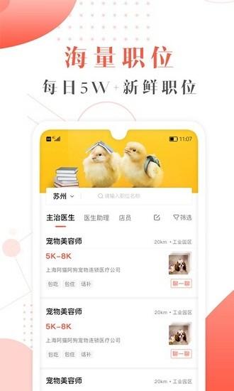 宠才宝app官方版下载