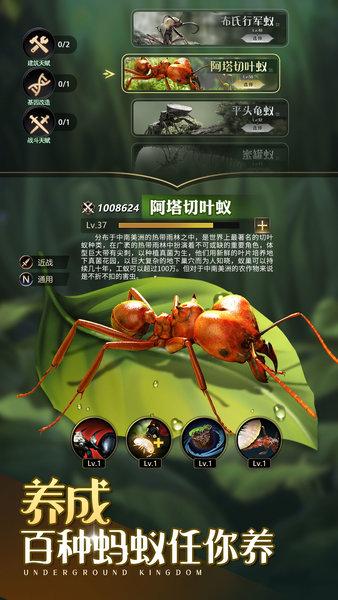 小小蚁国qq版下载
