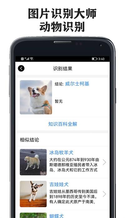 图片识别大师免费版下载
