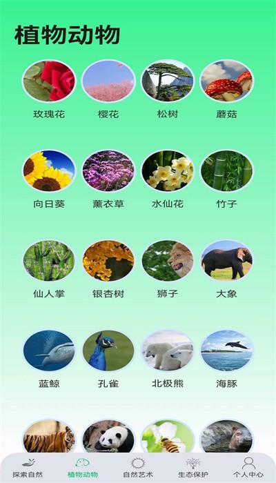 绿野乐园手机版下载