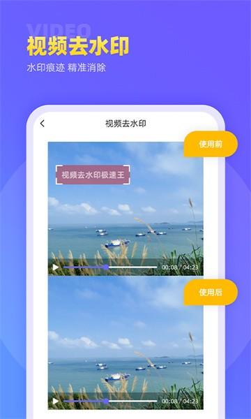 视频去水印极速王app