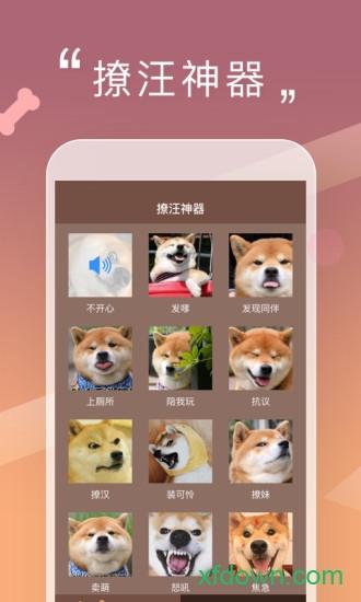 人狗交流器手机下载