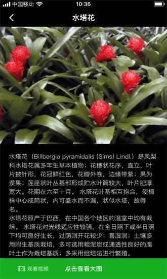 网纹草app下载