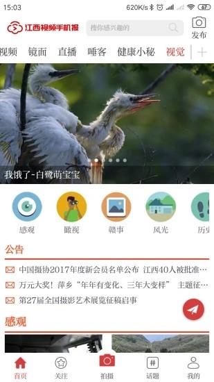 江西视频手机报官方最新版下载