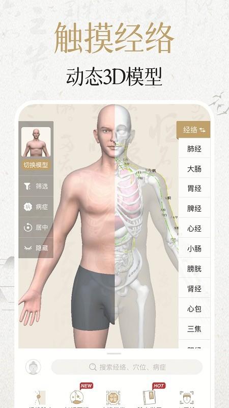 中济经络穴位下载