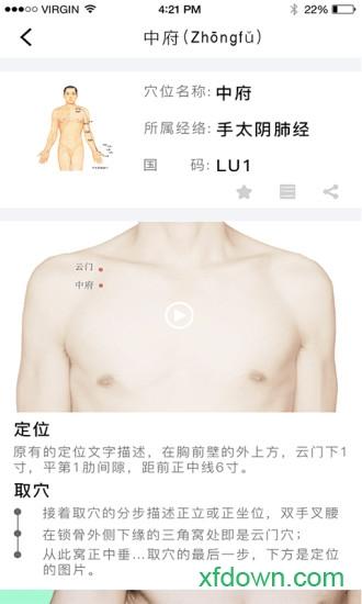 经络穴位图解手机版下载