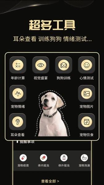 人狗交流神器app