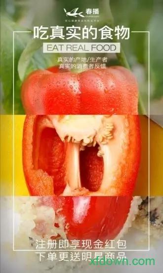 春播最新版下载
