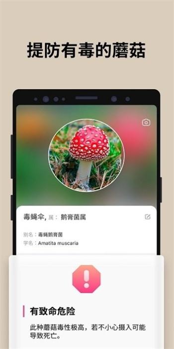 蘑菇识别app官方版下载