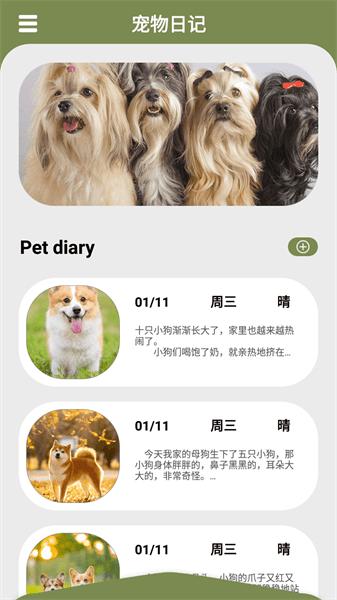 幸福猫咪社app