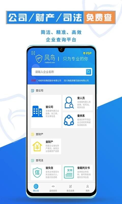 风鸟软件下载