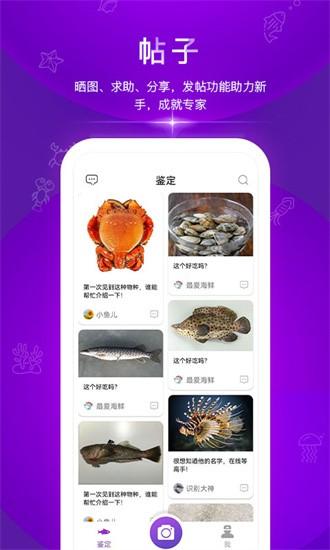 问鱼app下载