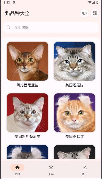 猫品种大全软件下载安装最新