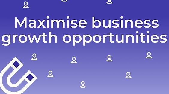 similarsites搜索引擎APP中文版2023最新