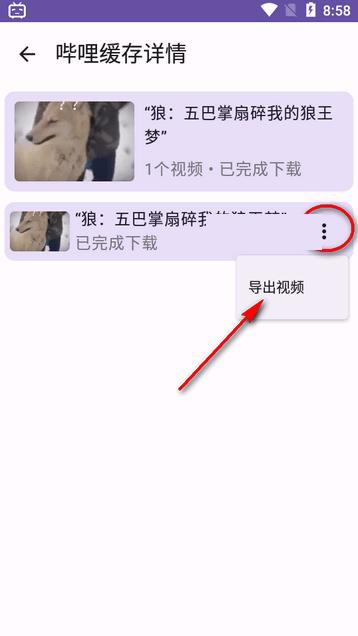 哔哩缓存导出软件最新版本