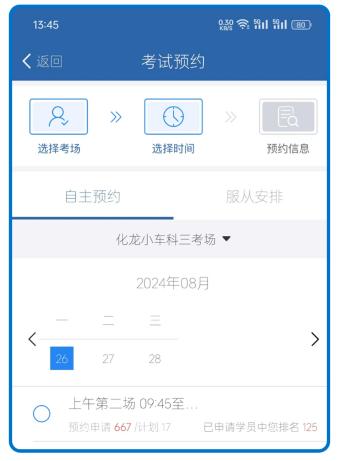 大象驾到Pro app官方版