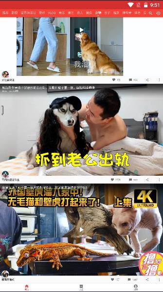 西瓜视频手表最新版本2023官方版