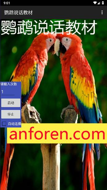 鹦鹉说话教材APP最新版本