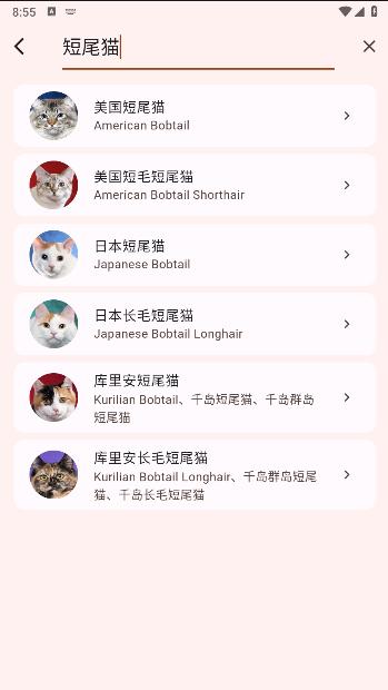 猫品种大全软件下载安装最新