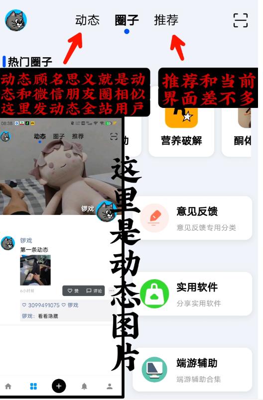 椰子社区手机客户端