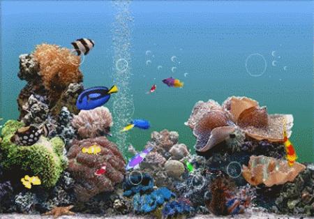 3d动态壁纸立体全屏免费软件